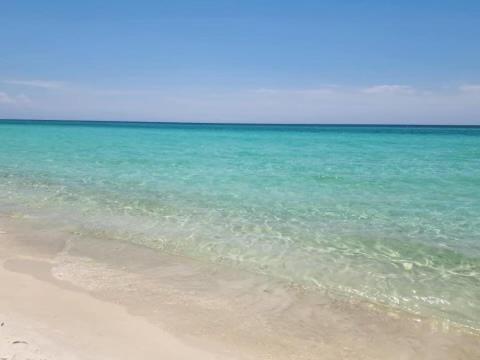 Shipface Shore * Panama City Beach
